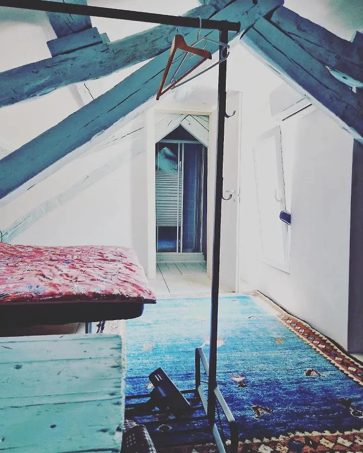 Holiday home Bonvivan House Diminici