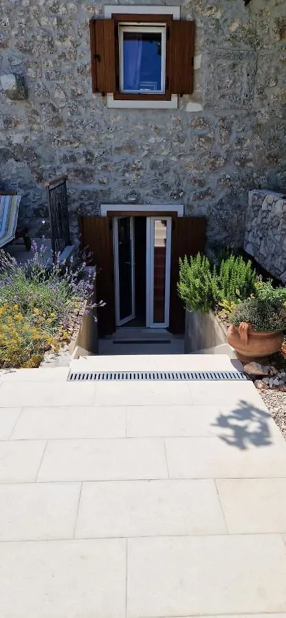 Holiday home Bonvivan House Diminici