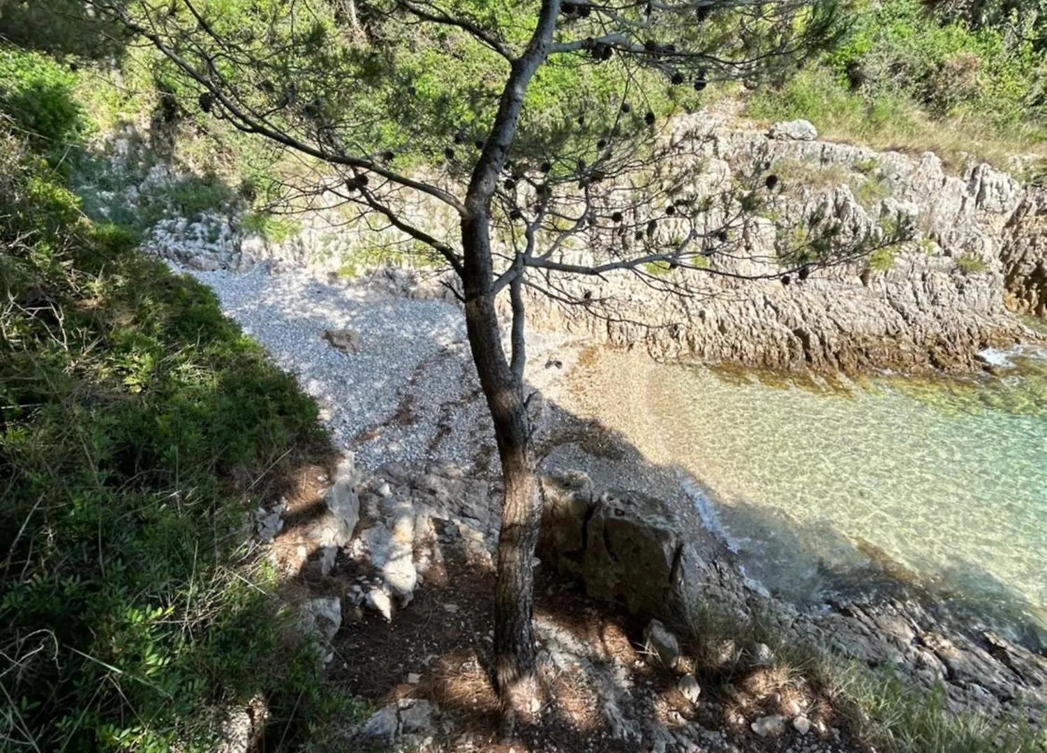 Vakantiehuis Bonvivan House Diminići